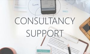 Consultancy Support